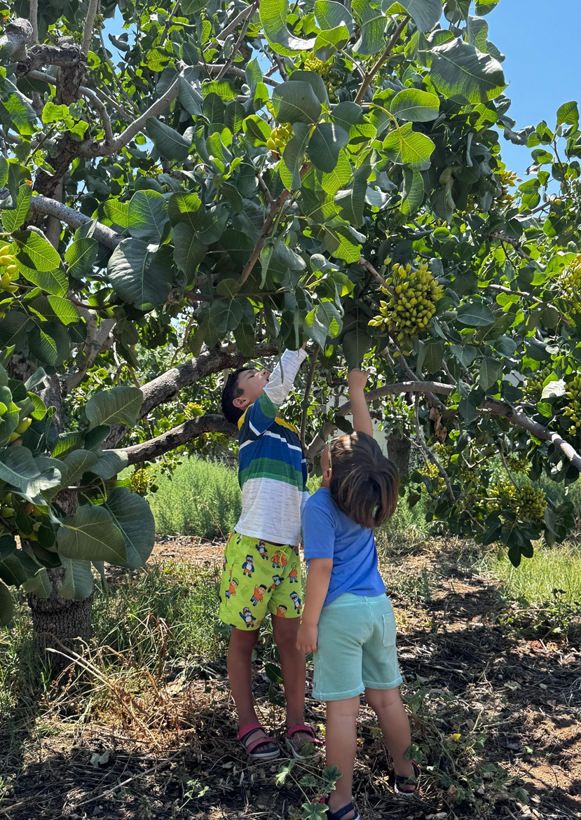 Financial Gifts for Children and Family Members