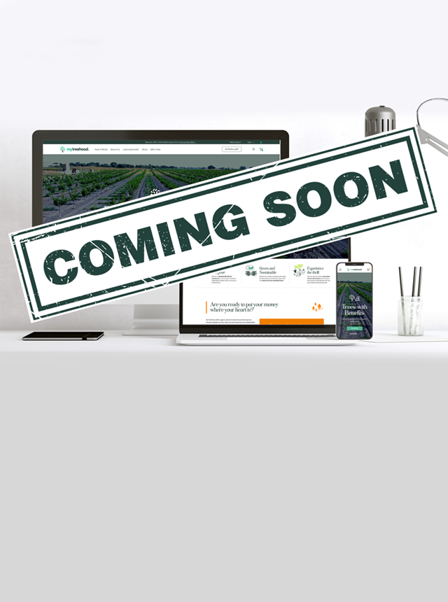 Exciting News: MyTreehood Is Almost Ready to Bloom!