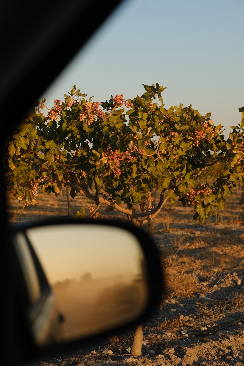 Christmas Newsletter 2025